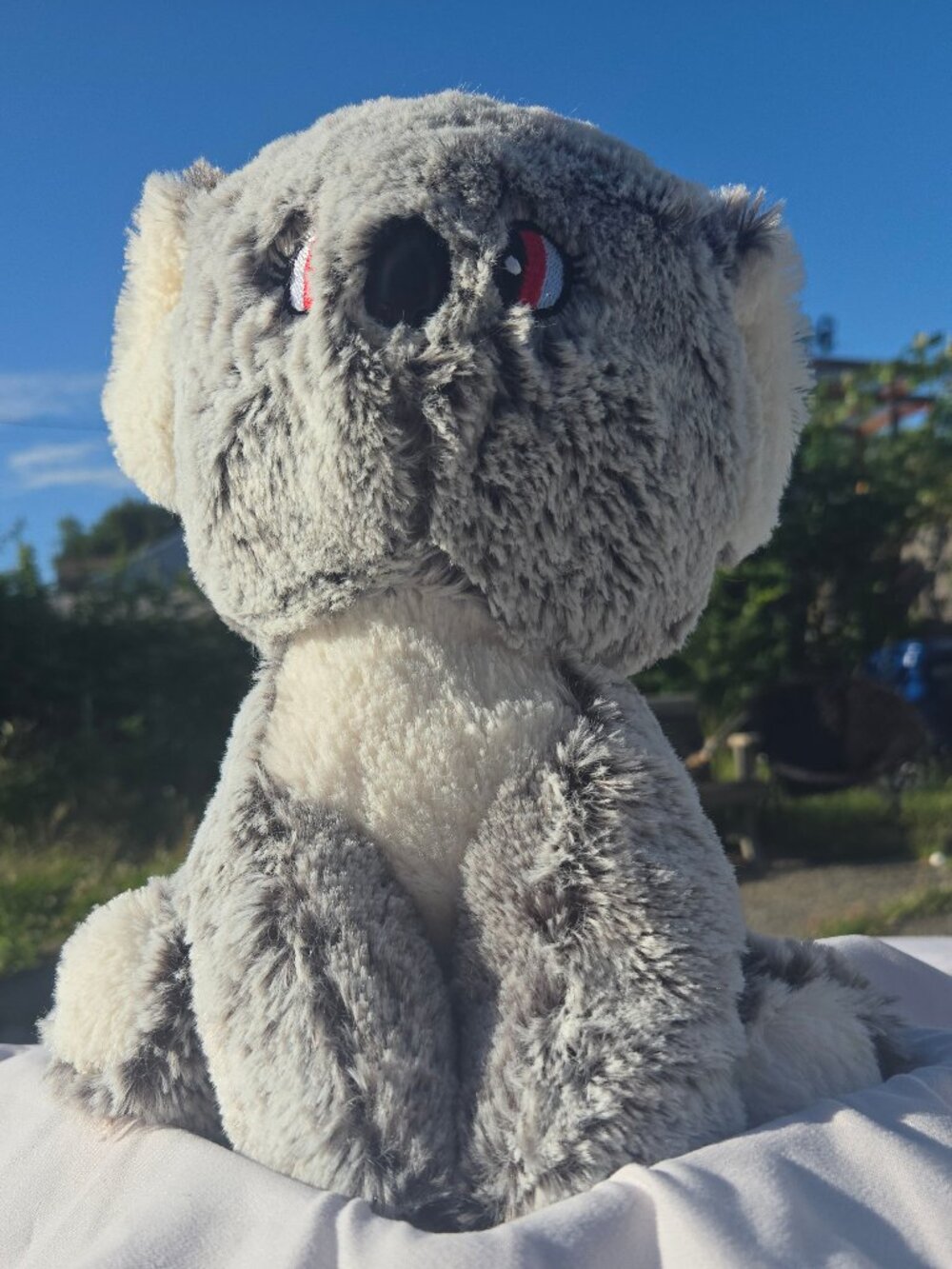 Koala Plush Cute Ultra Soft Dorky Face Crossed Eyes Red A&A Global Australia
